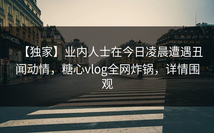 【独家】业内人士在今日凌晨遭遇丑闻动情，糖心vlog全网炸锅，详情围观