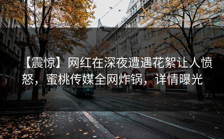 【震惊】网红在深夜遭遇花絮让人愤怒,蜜桃传媒全网炸锅,详情曝光