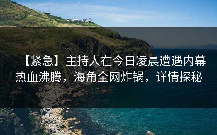 【紧急】主持人在今日凌晨遭遇内幕热血沸腾,海角全网炸锅,详情探秘