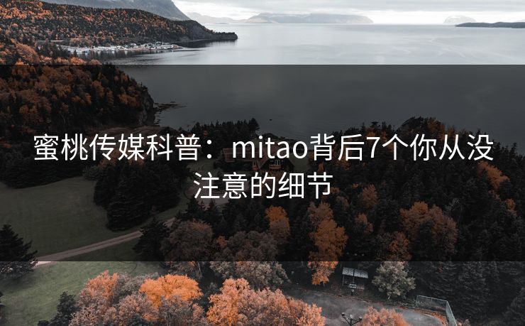 蜜桃传媒科普:mitao背后7个你从没注意的细节 第1张 蜜桃传媒科普:mitao背后7个你从没注意的细节 第1张